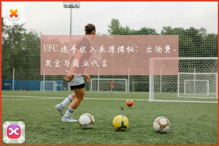 UFC 选手收入来源揭秘：出场费、奖金与商业代言